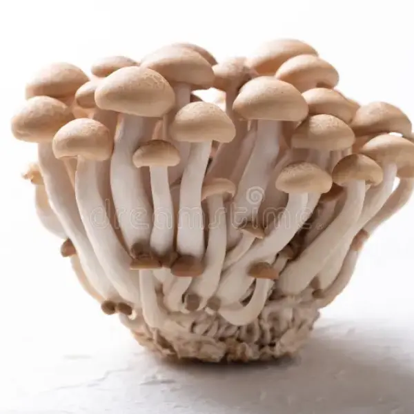 Starry Track Personalized Casual Sweater Night Sky Stars