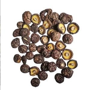 Black-faced shiitake mushrooms