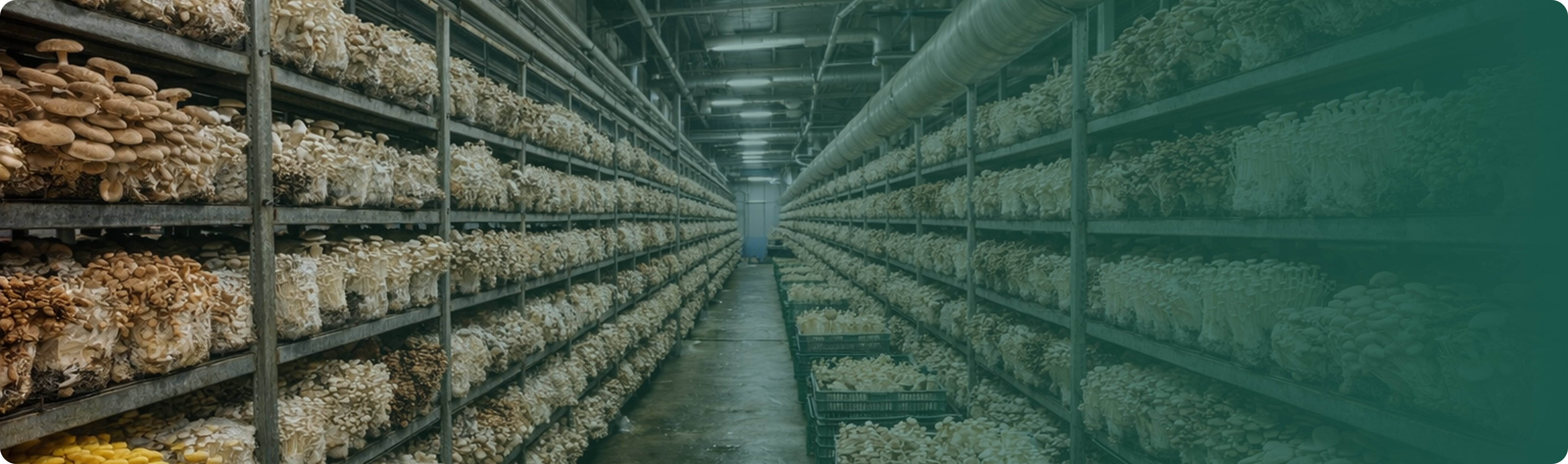 基于产地，专注品质